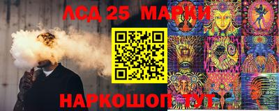 гашик Ярославль